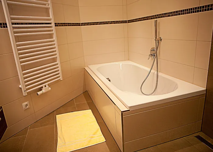 公寓 塞普别墅公寓 齐勒河谷的拉姆绍